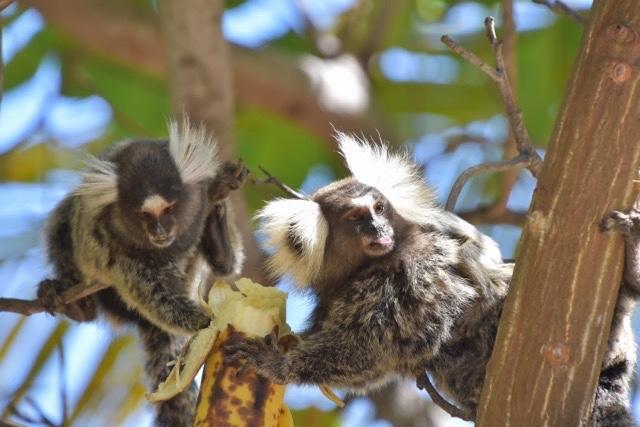 Pousada Malea Icaraí Esterno foto